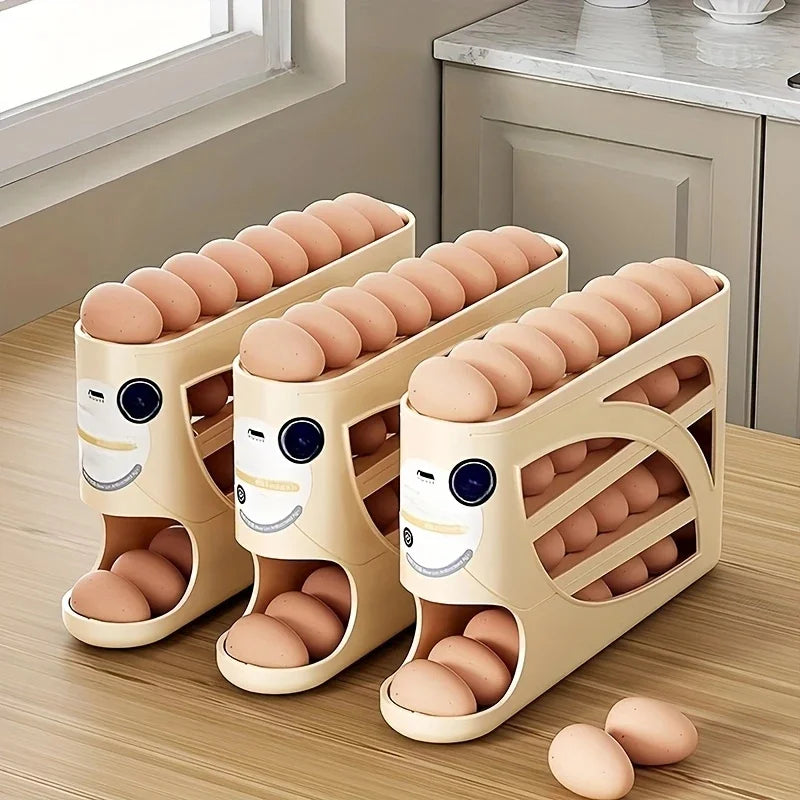 Egg Storage Container